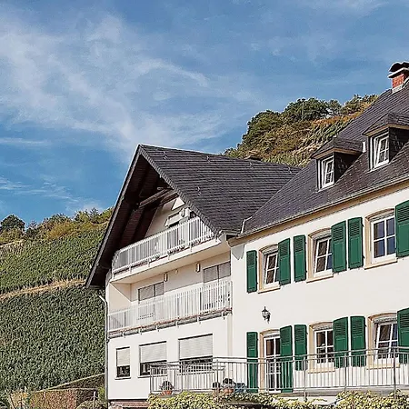 1595 Im Weingut Botzet Apartment