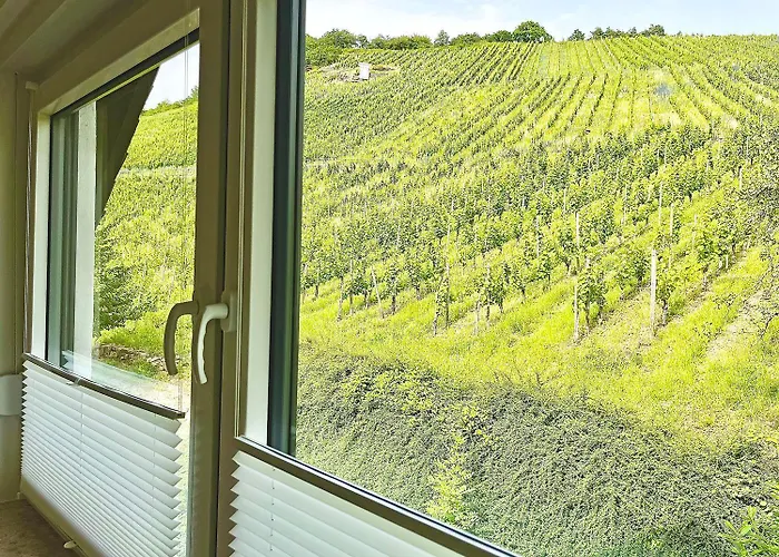 1595 Im Weingut Botzet